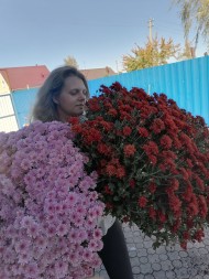 Набор &quot;поцелуй осени&quot;. 20шт